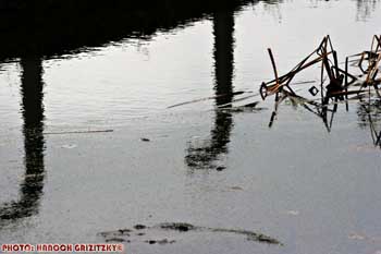 IMG_ (11614)